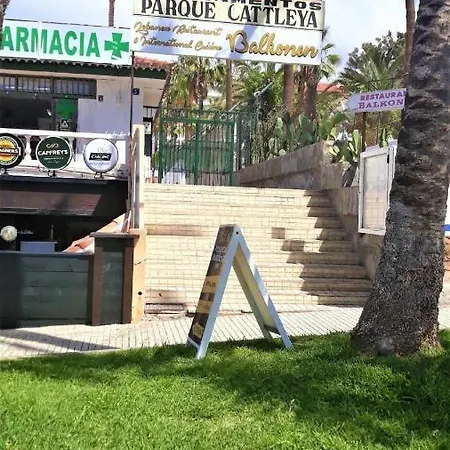Studio Fur 3 Personen Ca 45 M In Playa De Americas, Teneriffa Playa De Americas Und Cristianos